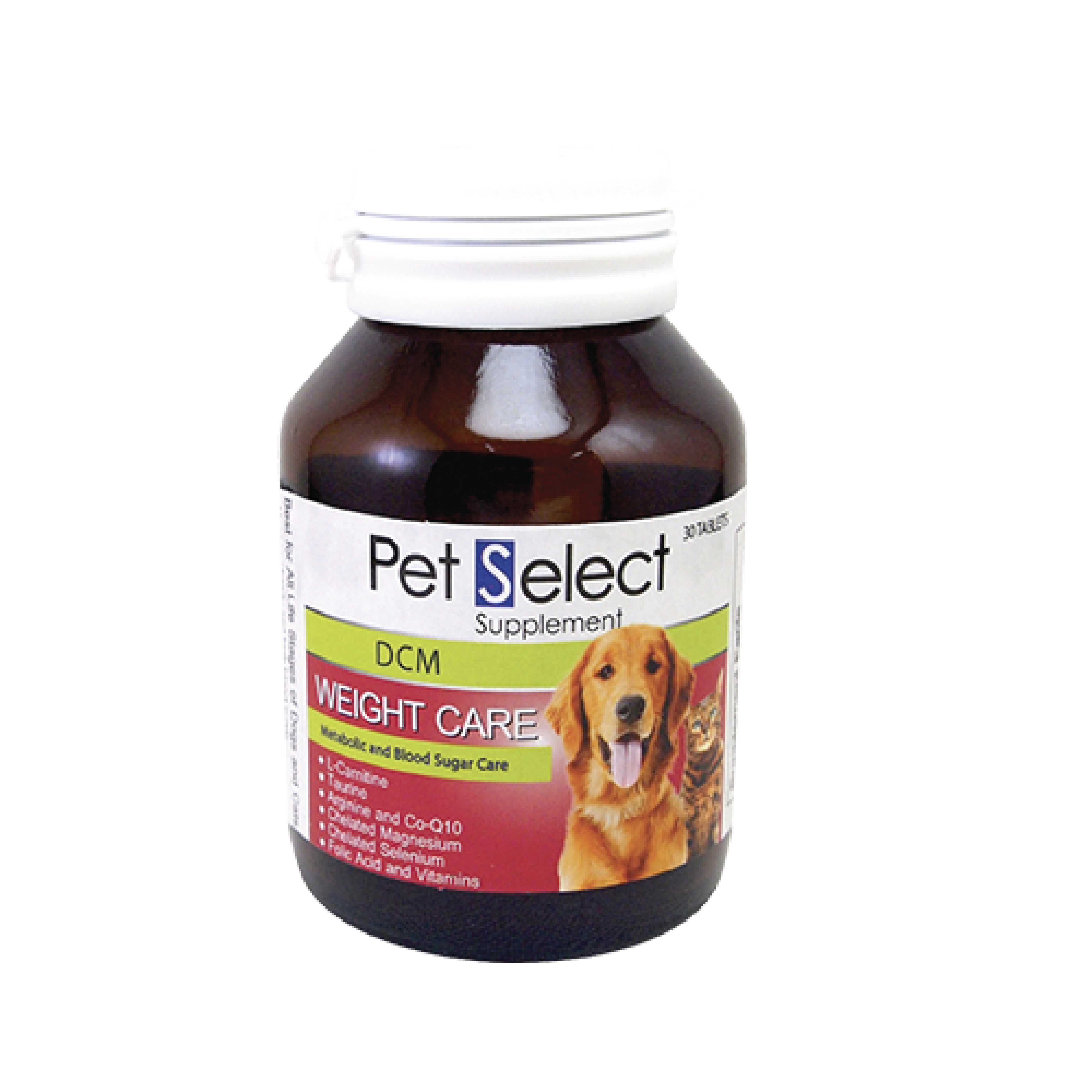 Canidae dcm best sale