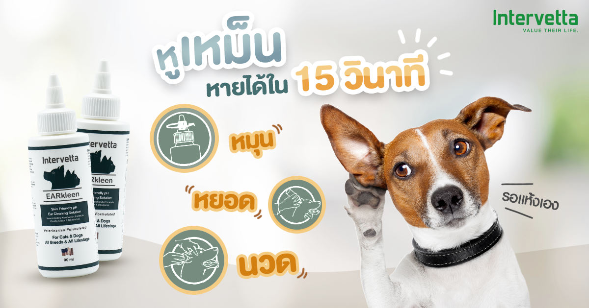 หูเหม็น_หายได้ใน_15_วินาที