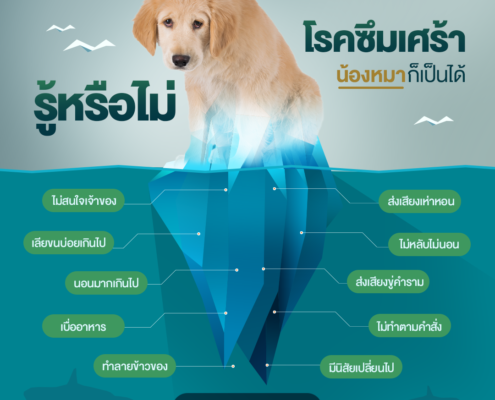 น้องหมาก็เป็นโรคซึมเศร้าได้