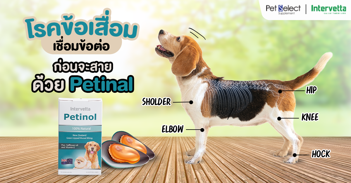 โรคข้อเสื่อมเชื่อมข้อต่อก่อนจะสายด้วย Petinol