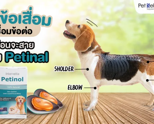 โรคข้อเสื่อมเชื่อมข้อต่อด้วย Petinol