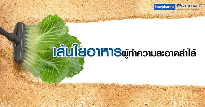 เส้นใยอาหาร ผู้ทำความสะอาดลำไส้